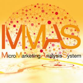 MMAS-Micro Marketing Analysis System-Datenbanken-Geomarketing-CRM-MeTKla-B2B-B2C